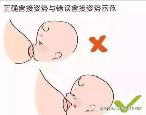 正确哺乳姿势有哪四个要点