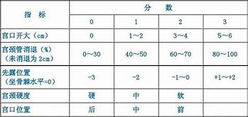 探究宫颈成熟度不佳的原因专家揭示潜在因素