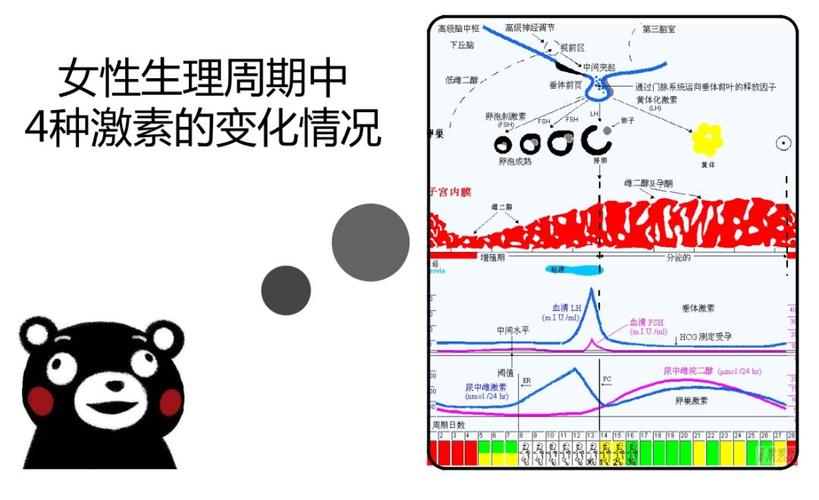 **性激素六项检查报告解读指南**

短视频