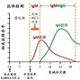 肺炎支原体抗体阳性诊断与管理

大纲